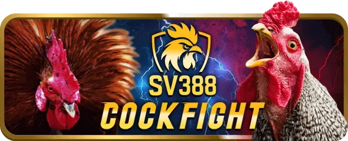 Khuyến mãi BK8VIE WIN